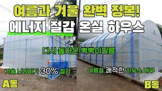 여름과 겨울 완벽 정복! 에너지 절감 온실하우스  |  부유코리아