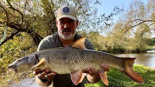 Barbel fishing at Arley