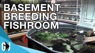 #564: FULL FISH ROOM TOUR - Update Monday