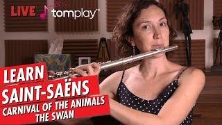 Just Practicing with Amelie | Saint-Saens | The Swan from Carnival of the Animals