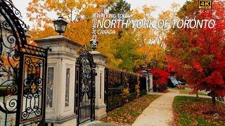 Walking  in North York Toronto Where Rich Canadians Live |Autumn Colors《4K》