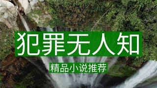 《犯罪无人知》精品小说推荐