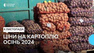 Ціни на картоплю на Закарпатті: що кажуть фермери, продавці та покупці