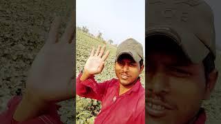 https://youtube.com/shorts/oKtYPuHcA90?si=jPDMFRD_iXbGkYkB