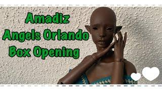 Amadiz Angels Orlando BJD Box Opening