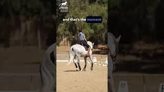 Timing the Canter Transition