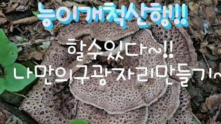 #능이개척산행!!#산행초보를위한능이산행길잡이