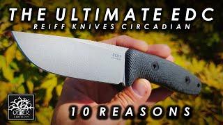 Is This the ULTIMATE EDC Knife?? Reiff Knives Circadian - 10 Reasons Why!