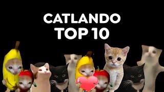 CATLANDO - TOP 10  (Best Cat Meme Videos)