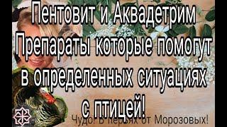 Пентовит и АкваДетрим//Препараты которые помогут в определённых ситуациях с птицей.