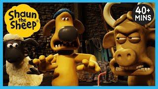 Shaun the Sheep  Full Episodes  The Bull, Picnics, Memories, Film Night + MORE | Cartoons for Kids