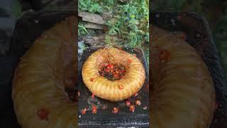 Is Straw Hat Brother’s throat a water pipe?|Chinese Mountain Forest Life and Food #TikTok#FYP