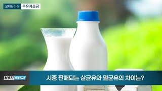 시중에 판매되고 있는 살균 우유와 멸균 우유의 차이는?