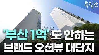 부산아파트 1억 이하 브랜드 대단지 역세권 평지 초품아 아파트ㅣ부산 부동산 투자