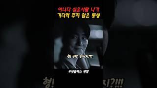 [광장] 아니다 싶은 사람 나가 기다려 주지 않은 동생 형 금방 올꺼지 #광장