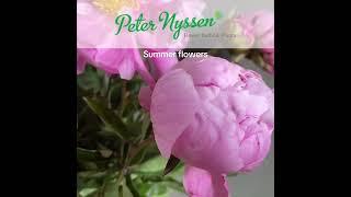 Peter Nyssen Summer Flowering Bulbs and Tubers. Order From December to May