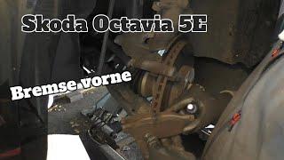 Bremse vorne wechseln - Skoda Octavia 5E