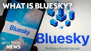 New social platform Bluesky surges in popularity | Spectrum News