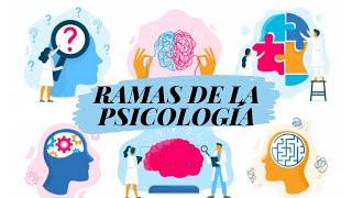 Cuáles son las Ramas de la Psicología? En Resumen.