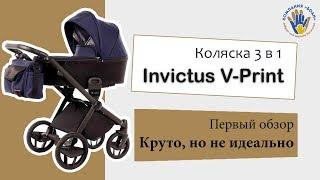 Коляска 3 в 1 Invictus V-Print (Инвиктус В-Принт). Самый первый и честный обзор.