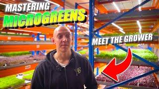 Meet The Grower In A Profitable Vertical Farm | Mastering Microgreens Business From Home