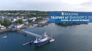 5 reasons to study at Bangor University's School of Ocean Sciences