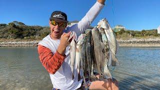 SMOKING Fresh Ocean Trout! (Catch Clean Cook)