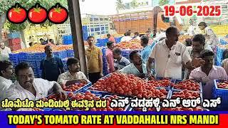 Tomato  Rate live auction AT VADDAHALLI NRS MANDI KARNATAKA
