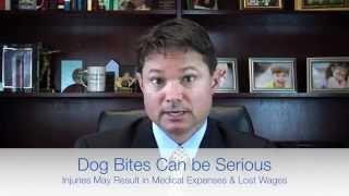 Louisville Dog Bite Attorney Chris Haden