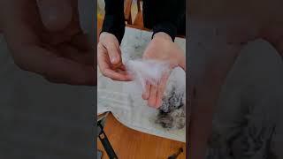 How to get the hay out of angora: options for hay removal in angora rabbit wool