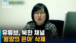 유튜브, '평양의 은아' 등장 북한 채널 삭제 / SBS