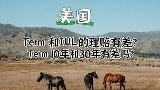 短期寿险term和IUl，10年期和30年期term理赔有不同吗