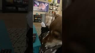 Penny thought Buddy was getting a little too close