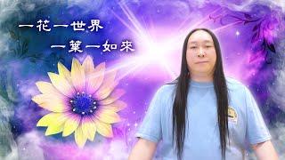 226：安住在沒有意義的圓滿上，體驗遍滿的覺察！｜雙生紫焰