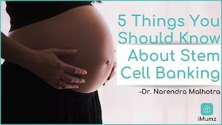 5 Things You Need Know About Stem Cell Banking