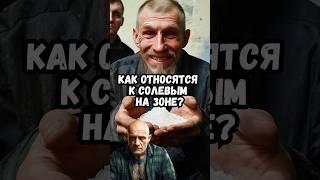 Как относятся к солевым на зоне?