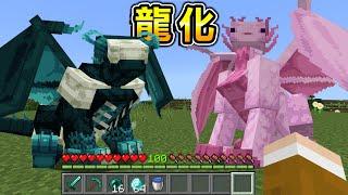 Minecraft 騎上飛龍！從蛋開始養育『變成龍的生物』世界生存，成長到超級強大