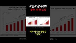 트럼프 관세에 살아남는 "이 주식" (2)