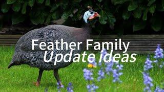 Feather Family Updates Ideas