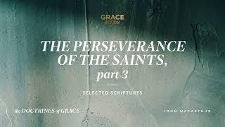 The Perseverance of the Saints, Part 3 (1 Peter 1:6–9) [Audio Only]