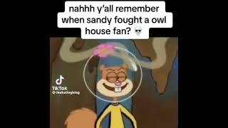 Remember when Sandy fought an Owl House fan?