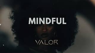 Afrobeat Instrumental 2024 Rema Type Beat "MINDFUL" Afrobeat Type Beat