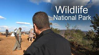 Wedding in the WILD (South Africa)