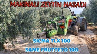 SICMA RC 80 Kombine Zeytin Hasat Makinası - Ağaç Gövde Sallayıcı Makina ile Hızlı ve Ekonomik Hasat