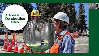 ISA’s Best Management Practices for Construction near Trees