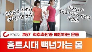 조선일보 홈트시대) 척추측만증 교정을 위한 견갑골 운동 Exercise for Scoliosis/ Scapula Strengthening Exercises