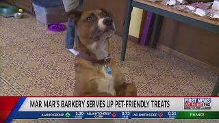 Mar Mar's Bakery serves up pet-friendly treats