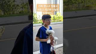 직장생활에 찌든 여러분을 위한 달콩이의 힐링 영상 #달콩이