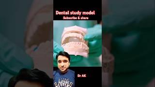 dental study model #shorts #viralshorts #dentist