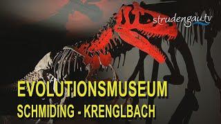 Evolutionsmuseum Schmiding -  Krenglbach